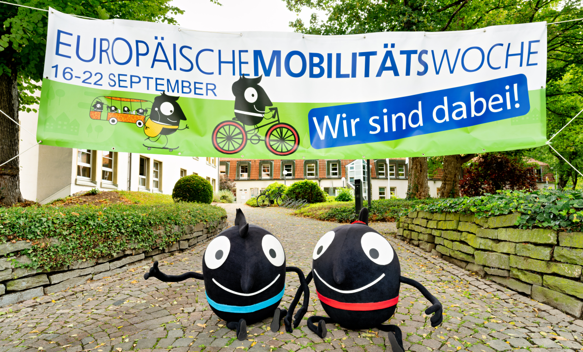 Kreis Soest